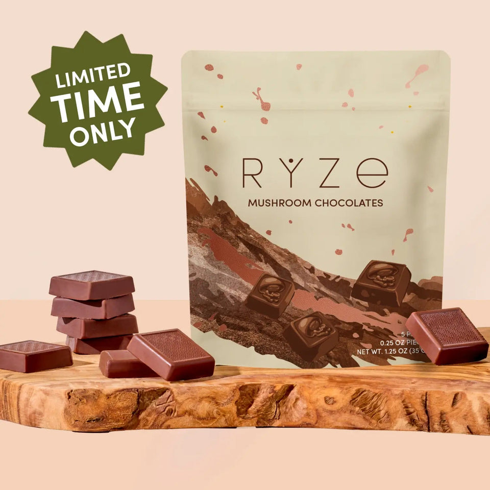 Mushroom Chocolates Rye (15 pieces) - Warm Treat