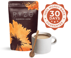 Cocoa Free Gift Bundle