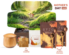 Chai Free Gift Bundle
